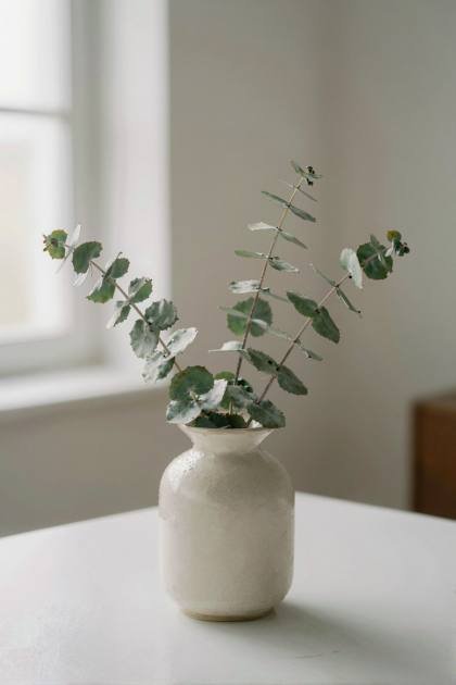 Eukalyptus in der Vase (hoch)