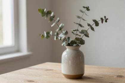 Eukalyptus in der Vase (quer)