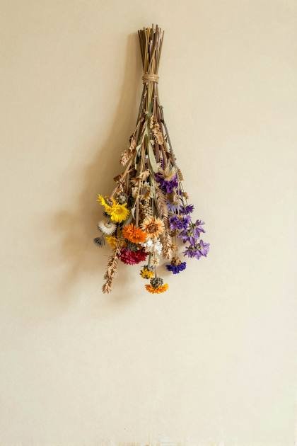 Trockenblumen kopfüber gebunden