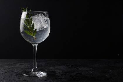 Gin Tonic mit Botanicals