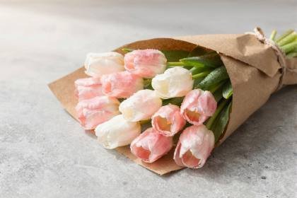 Tulpen in Papier