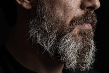 Bartdetail im Profil