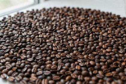 Kaffeebohnen (quer)