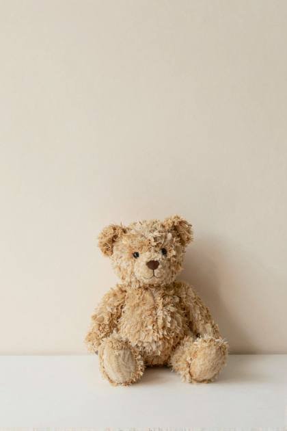 Teddybär vor heller Wand