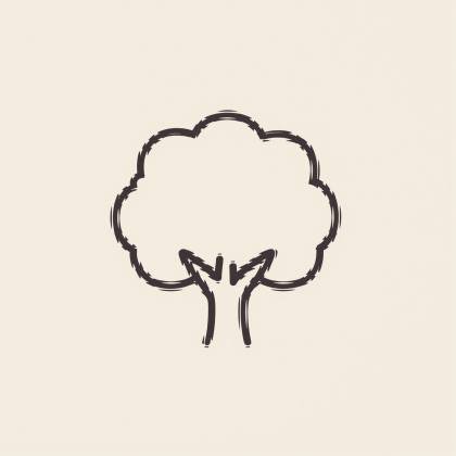 Baum (Strichlinie)