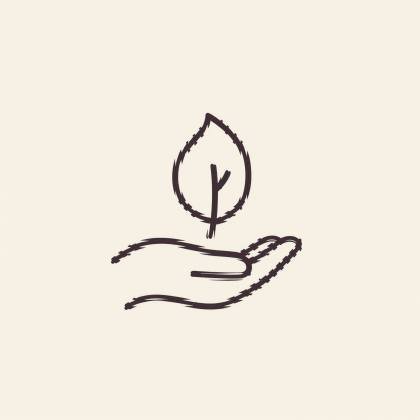 Hand mit Blatt (Strichlinie)