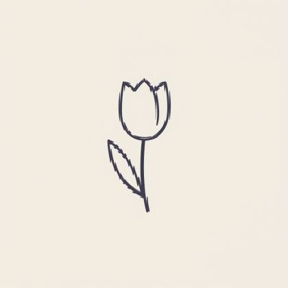 Tulpe (Strichlinie)