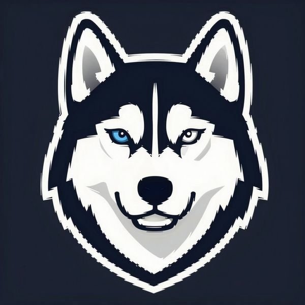 Husky mit zwei Augenfarben