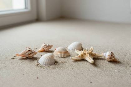 Muscheln im Sand (quer)