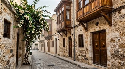 Jasminbaum in der Gasse