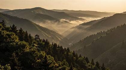 Bergtal im Morgennebel
