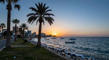 Palmen am Meer im Sonnenuntergang