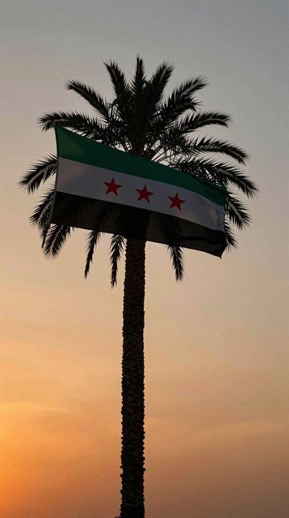 Flagge an der Palme