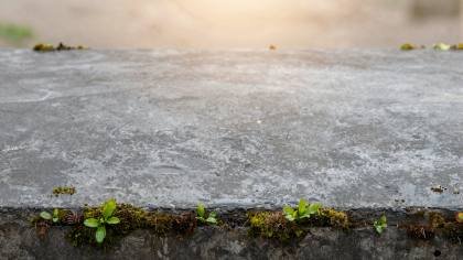 Beton mit Mooskante