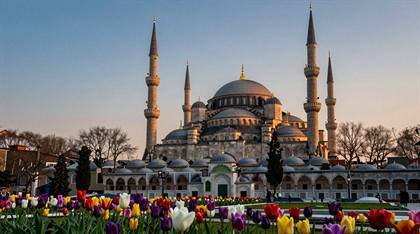 Blaue Moschee mit Tulpen