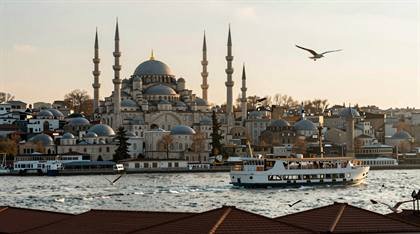 Moschee am Goldenen Horn mit Möwe
